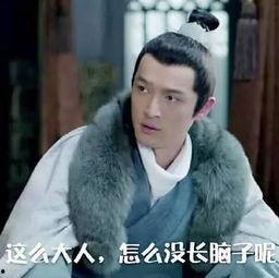 胡歌被女星爆料视频,真相与争议交织的娱乐圈风云  第3张